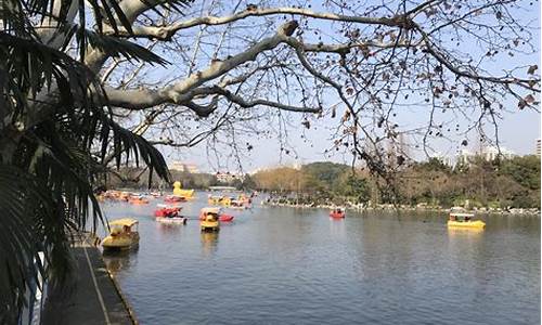 上海长风公园划船价格_上海长风公园划船价