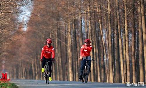 上海骑行路线50km_上海骑行路线推荐 