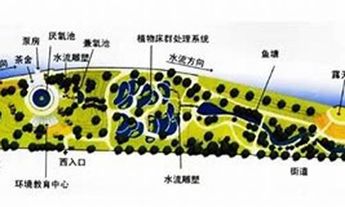 活水公园的水净化系统_活水公园的水净化系