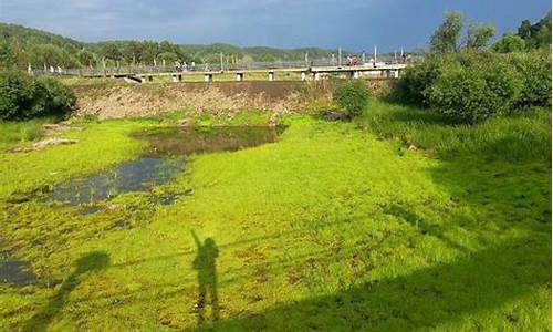 黑龙江抚远旅游攻略_黑龙江抚远县旅游