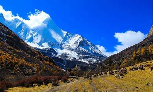 稻城亚丁旅游攻略景点大全最新_稻城亚丁旅游景点介绍