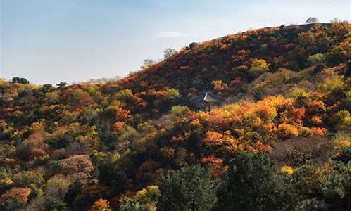 喇叭沟门原始森林门票多少钱_喇叭沟门原始森林风景区