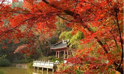 栖霞山门票_栖霞山门票免费