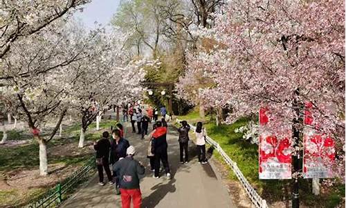 玉渊潭公园樱花节月票能用吗_玉渊潭公园樱花节年票能用吗