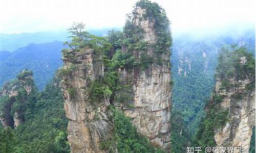 张家界自由行导游靠谱吗怎么样_张家界旅游自由行导游